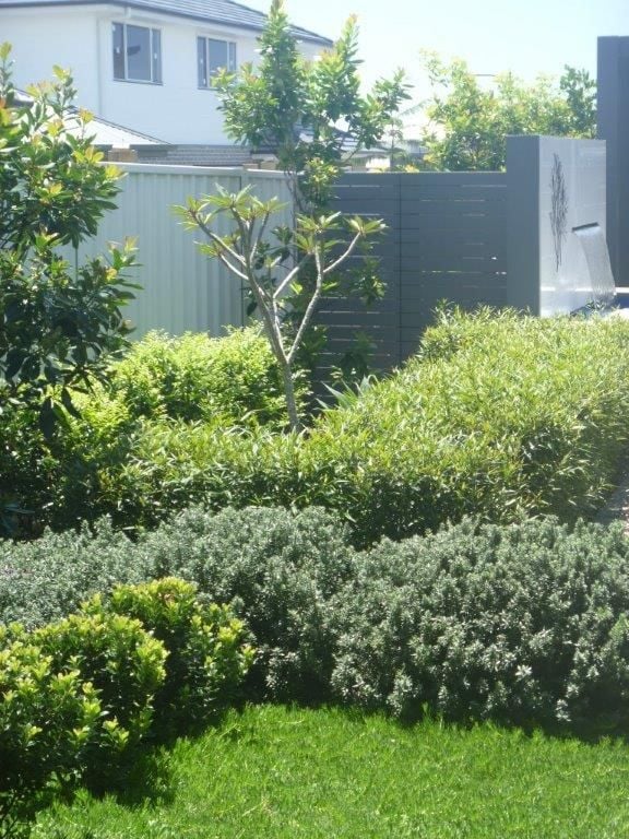 McDonald Jones Display Homes South Coast Image -56afdfb64906b